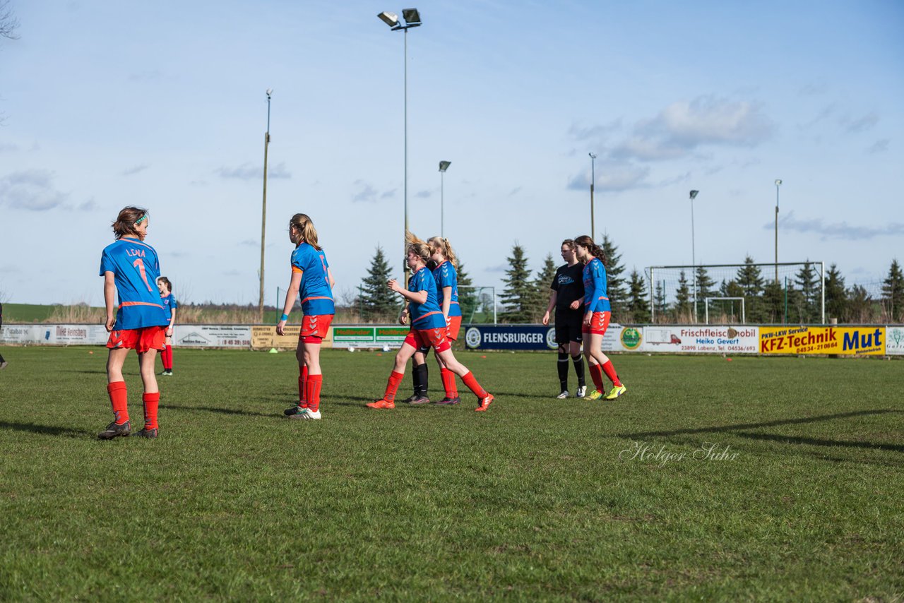 Bild 255 - C-Juniorinnen SV Steinhorst/Labenz - TSV Friedrichsberg-Busdorf : Ergebnis: 5:0